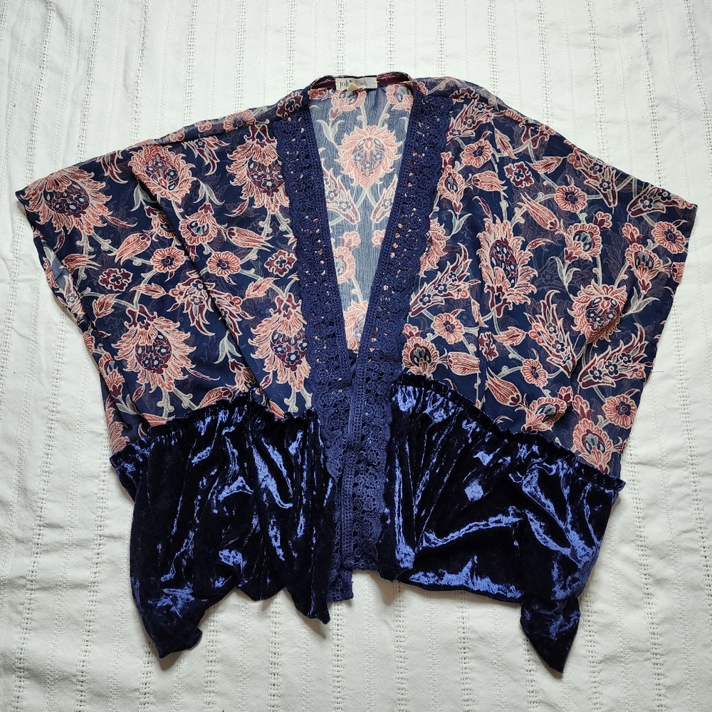 Sheer and velvet top